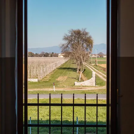 Agriturismo Mulino Delle Tolle Bagnario Arsa Exterior photo