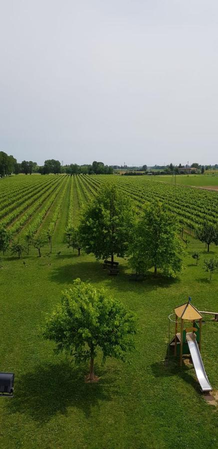 Farm stay Mulino Delle Tolle *